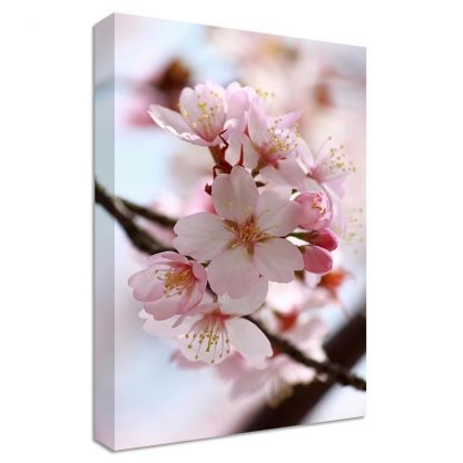 Pink-Flowers-Alt-Framed-Canvas-Art-Print-Nature-Art-Many-Sizes-351642450101