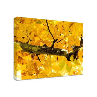 Yellow-Leaves-Framed-Canvas-Art-Print-Nature-Art-Many-Sizes-351642447652