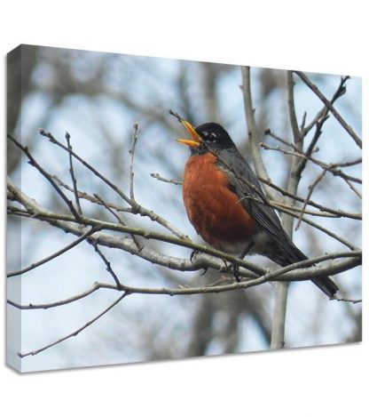Winter-Bird-Framed-Canvas-Art-Print-japanese-japan-classic-351642450053