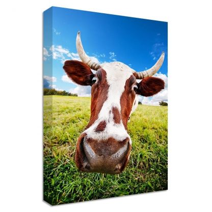 Cow-Nose-Framed-Canvas-Art-Print-Nature-Animal-Art-Many-Sizes-371543911395