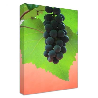 Grapevine-Framed-Canvas-Art-Print-Nature-Art-Many-Sizes-371543908845
