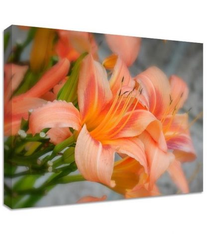 Pink-Flowers-Framed-Canvas-Art-Print-Nature-Art-Many-Sizes-371543911755