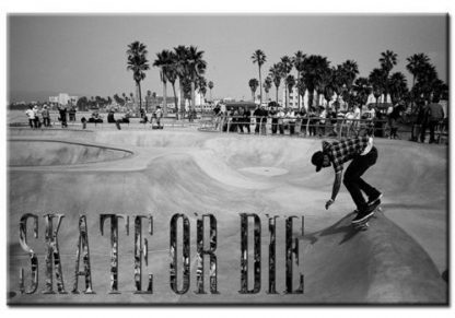 Skate-or-Die-Skateboarding-Birthday-Premium-Canvas-Art-Print-351642447676