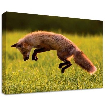 JUMPING-FOX-CANVAS-LARGE-WALL-ART-cute-kawai-bedroom-house-foxxy-351642449709